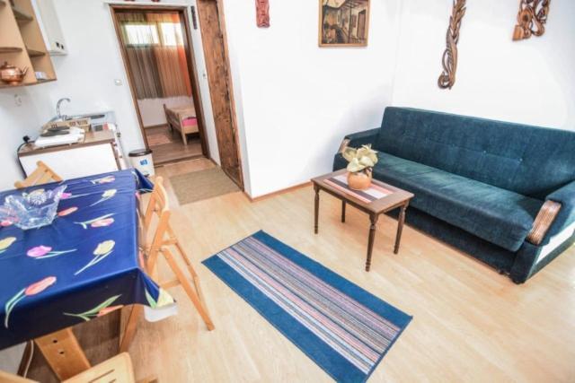 Backyard Apartment Ohrid Extérieur photo